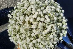 Tanjas-Blumenparadies17-scaled